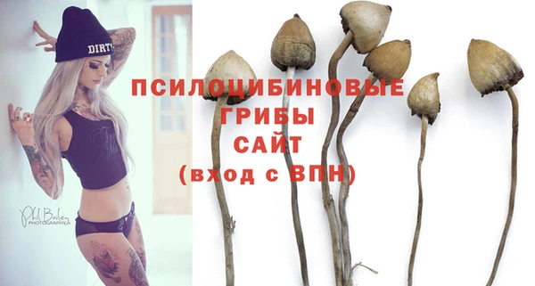 мяу мяу кристалл Богданович