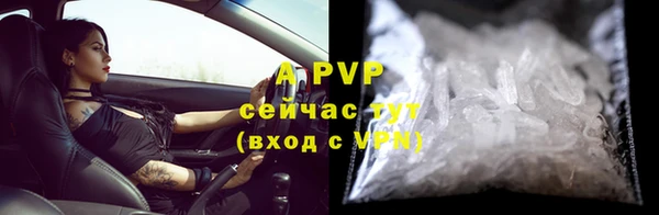 мяу мяу кристалл Богданович