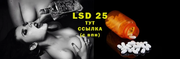 мяу мяу кристалл Богданович
