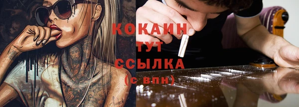 мяу мяу кристалл Богданович